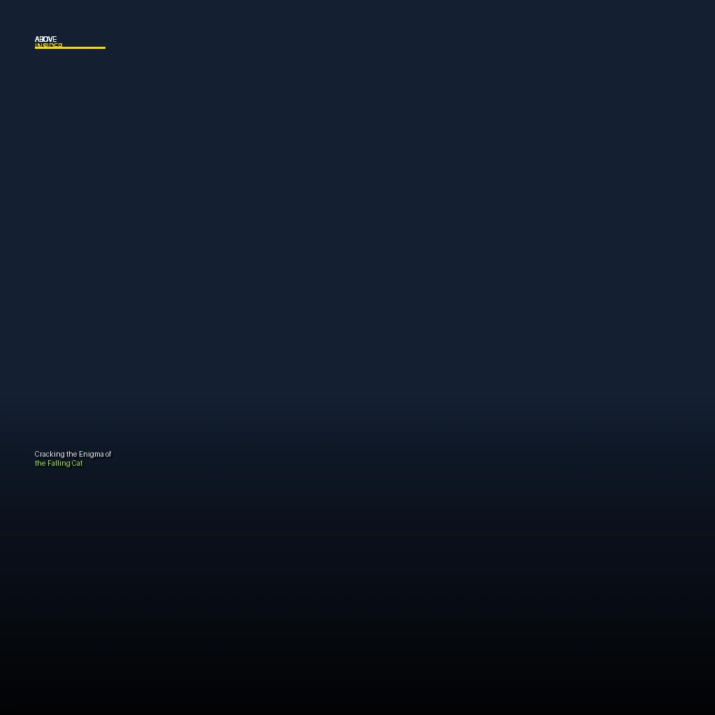 Falling Cat Problem: # The Elusive Solution